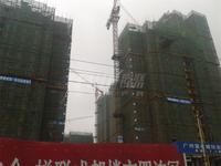 保利玫瑰花语2期实景图2014-6-13