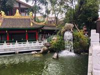 杜鹃城千万间2期实景图杜鹃城千万间B区可居园