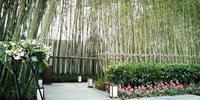 远洋栖棠1期实景图售楼部实景1