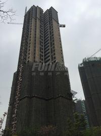 东原西岸实景图工程进度