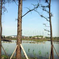 保利湖心岛实景图香城湿地公园