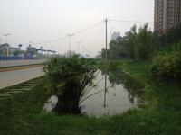天赋龙庭实景图实景图