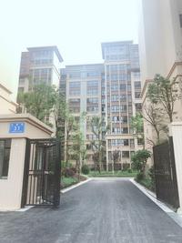 丽都佳苑1期实景图小区实景