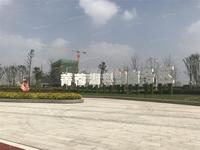 菁蓉滨湖湾观澜府配套图菁蓉湖科创商务区