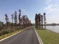 保利湖心岛实景图香城湿地公园