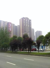 合能珍宝琥珀实景图2014.5.13