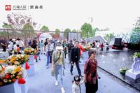 望青来青麓阁1期活动图活动图