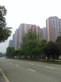 合能珍宝琥珀实景图2014.5.13