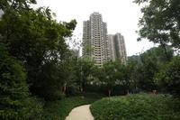 绿地中心468云玺5期实景图实景图