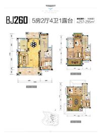 碧桂园天玺湾效果图户型图