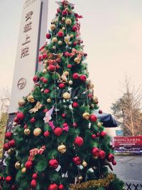 青城上院1期活动图圣诞活动现场实拍图