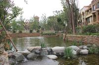 蓝泊湾实景图项目实景图