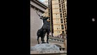 成都后花园国宾红叶实景图国宾红叶