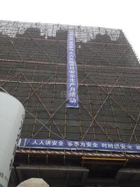 神仙树缤纷实景图2014-6-30