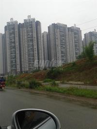 首创万卷山实景图2014-6-13