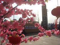 鑫海天城北郡样板间图鑫海天城5栋