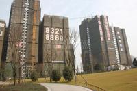 信和御龙山实景图实景