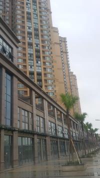 和信孔雀城实景图6-16