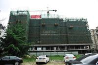 檀香山公园里实景图实景图