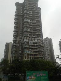 乐斯霏红榭2期实景图6-13