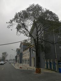 水岸明珠小区1期实景图实景图