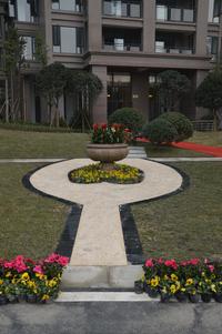 和信孔雀城实景图1