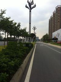 新派客配套图周边街道