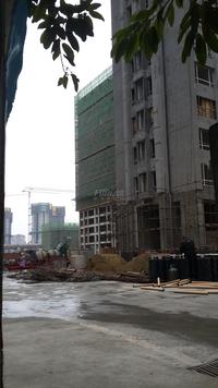 御园实景图工程进度
