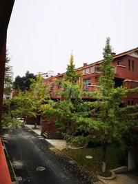 杜鹃城千万间2期实景图杜鹃城千万间B区可居园