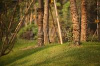 华邑阳光里实景图阳光那不勒斯