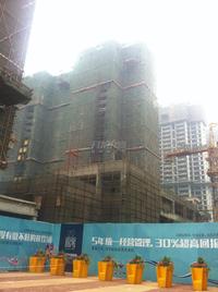 合能珍宝琥珀实景图2014.5.13