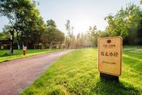 棠湖泊林城实景图实景图