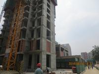 中港悦蓉府实景图工程进度