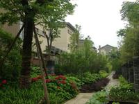 青城365宅院实景图项目实景