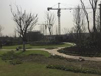保利西子城实景图项目实景图