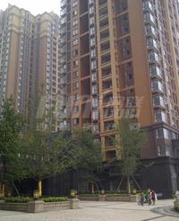 辰兴锦城国际实景图2014-5-8