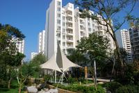 东山国际新城青年广场实景图建设成就