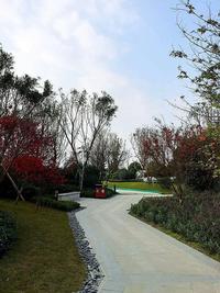 恒大御景1期实景图园林样板实景图