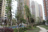 天邑宏御花园实景图实景图
