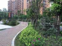水城印象实景图小区实景图
