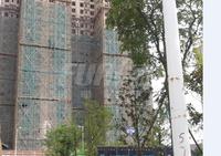 东山国际新城青年广场实景图2014-6-8