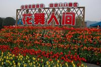 恒大林溪郡配套图花舞人间