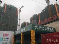 合力达·通锦府1期实景图施工现场