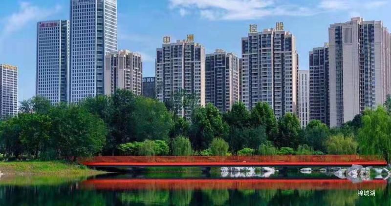 中洲锦城湖岸小区2期实景图 成都透明房产网