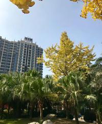 铂悦郡1期实景图实景图
