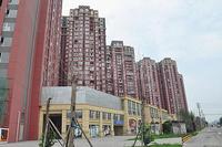 中房学府海棠实景图2014-7-1