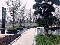 朗基和今缘1期实景图实景图