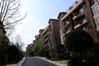 枫山美地实景图景观大道