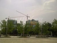 盛世天彭实景图2014-5-20