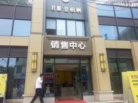君雁金梧桐实景图实景图